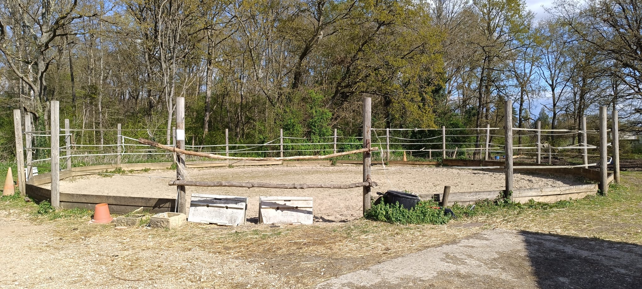 Rond de longe pour cheval